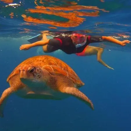 Parrot Paradise Studio, Wifi, Smart Tv, Pool アパート