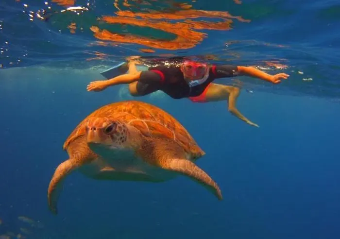 Parrot Paradise Studio, Wifi, Smart Tv, Pool Apartmán